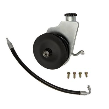Power Steering Pump Kit, Serpentine or V-Belt, F100-350 Box