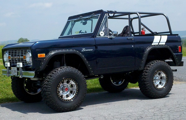 Stock Early Bronco in Nature