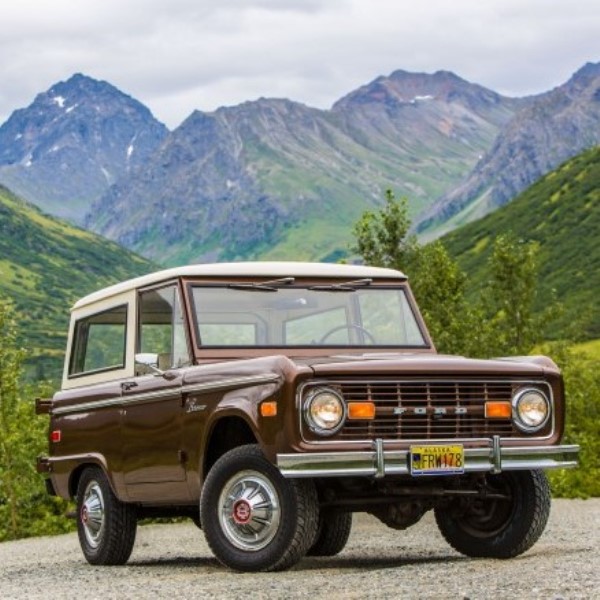Stock Early Bronco in Nature